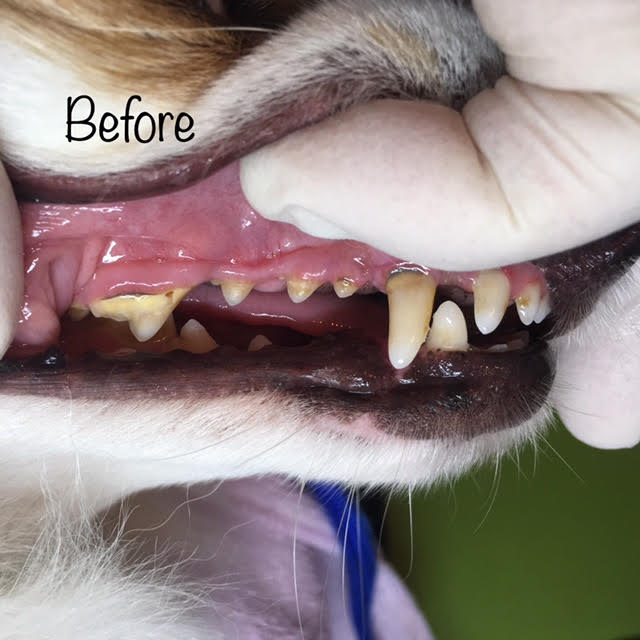 Before Before