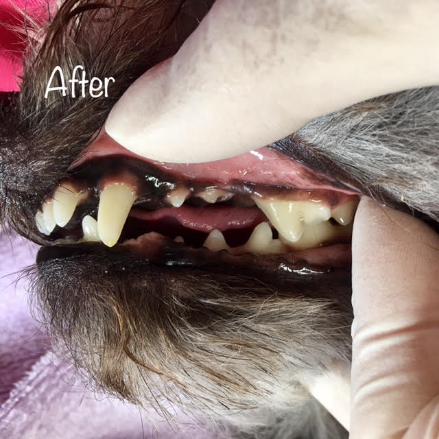 After After