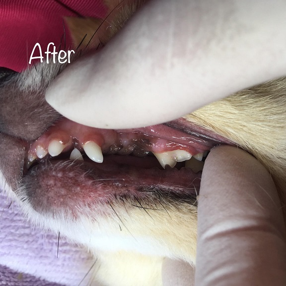 After After