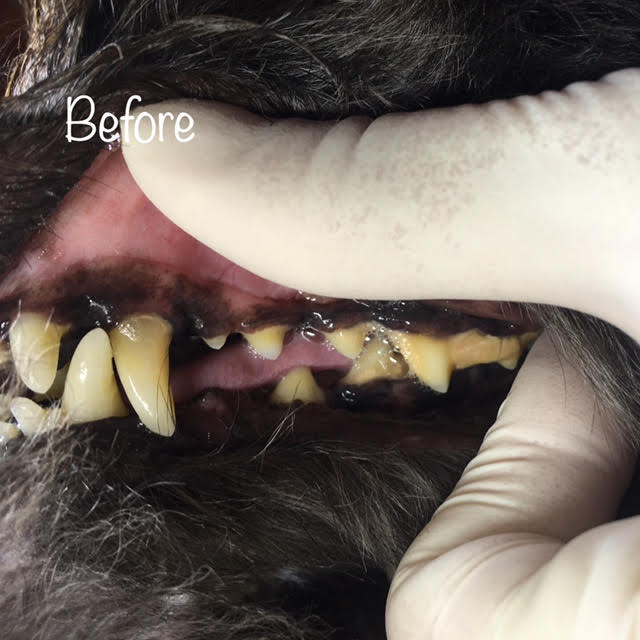 Before Before