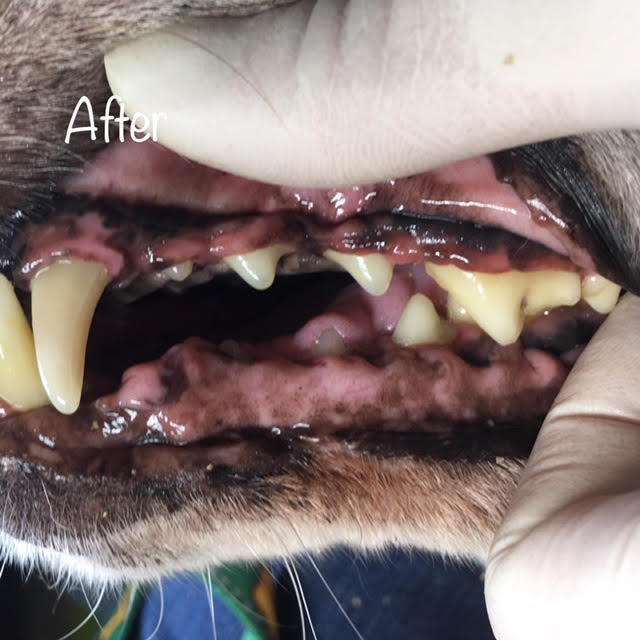 After After