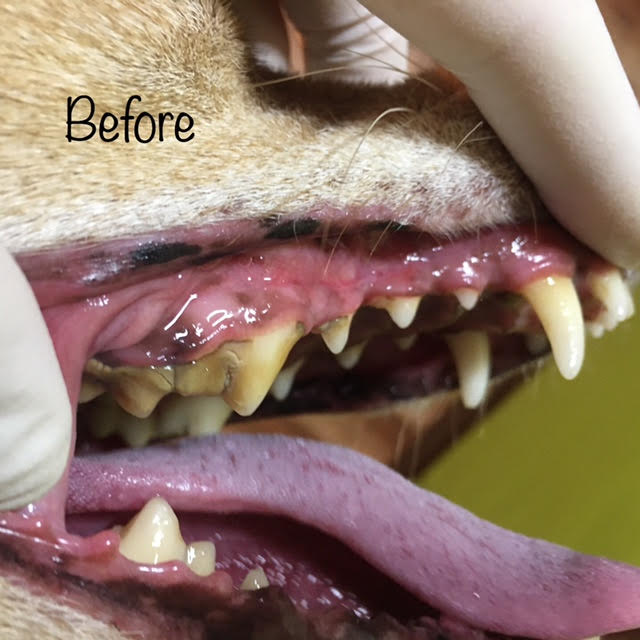 Before Before