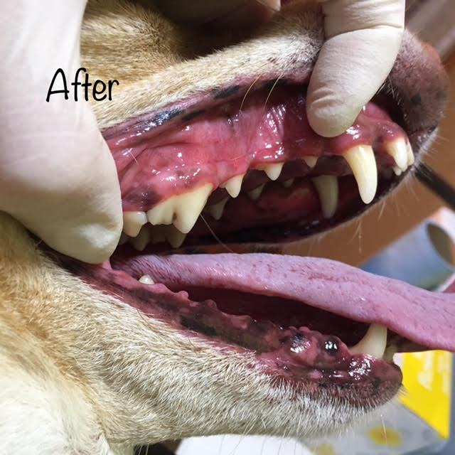 After After