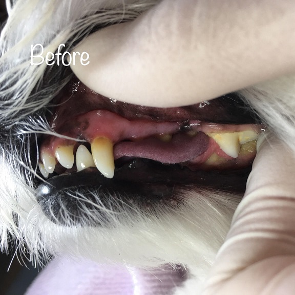 Before Before