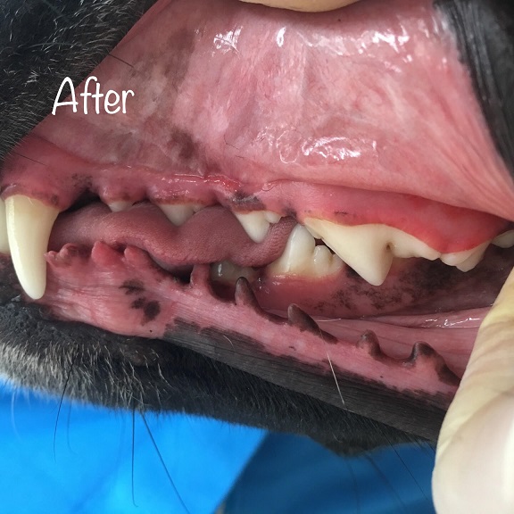 After After