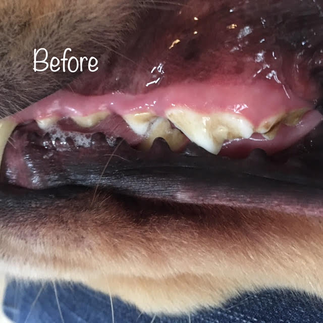 Before Before