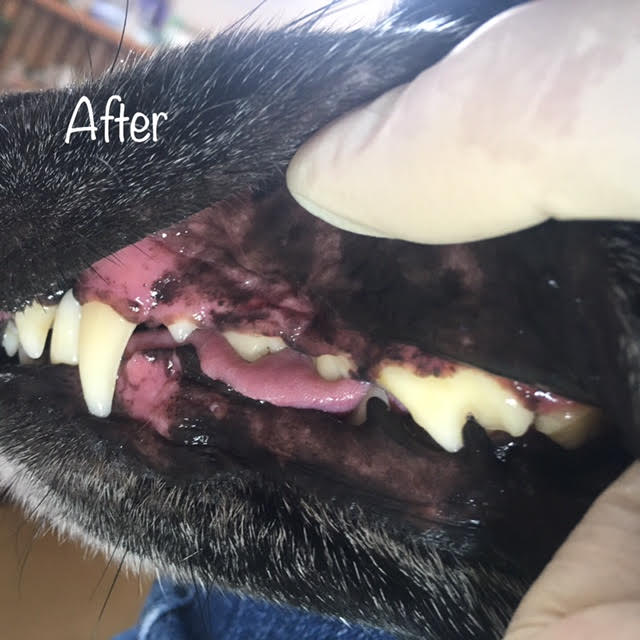 After After
