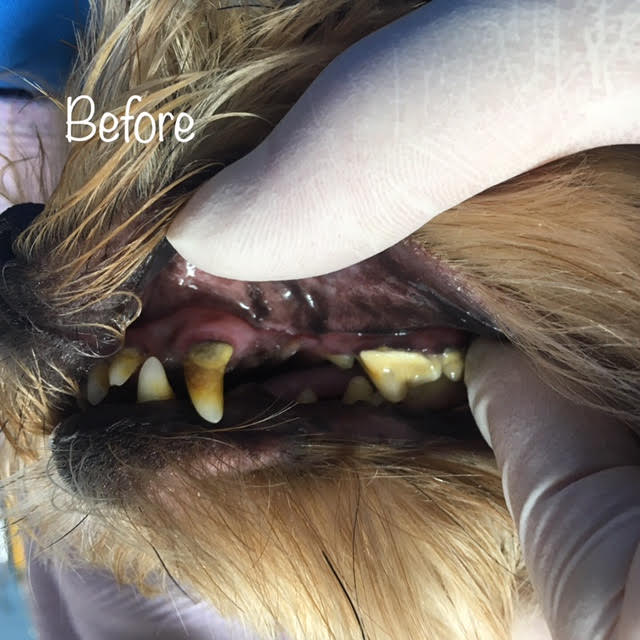 Before Before