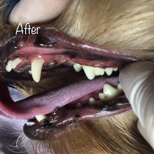 After After