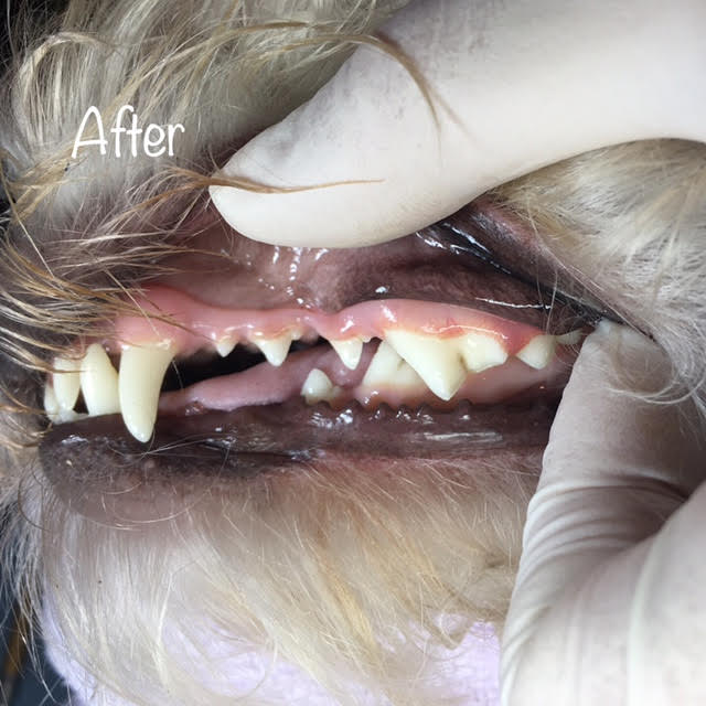 After After