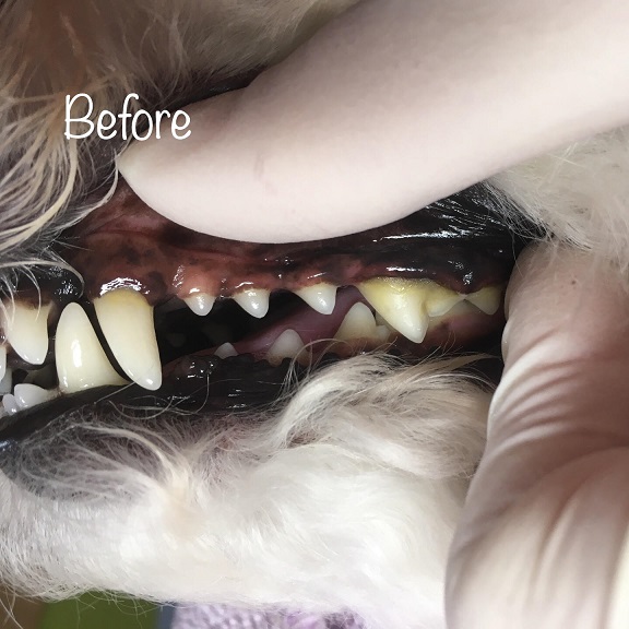 Before Before