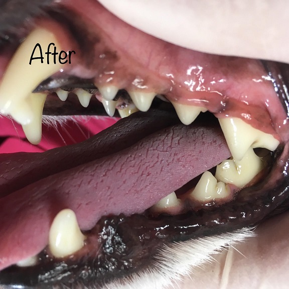 After After
