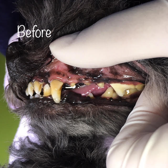 Before Before