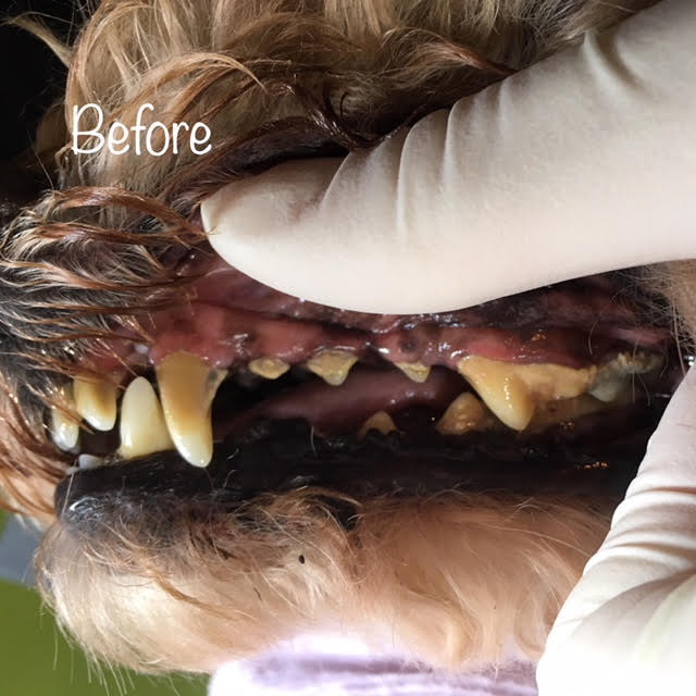 Before Before