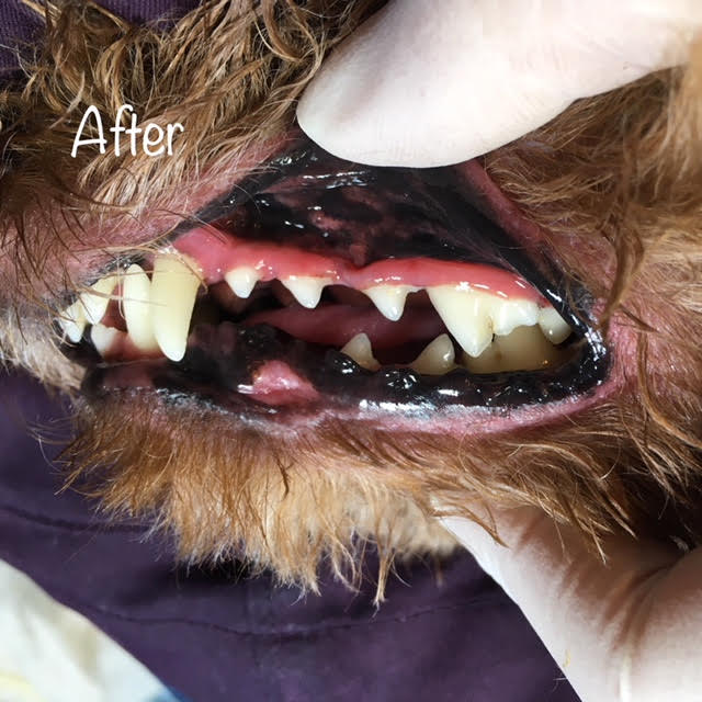 After After