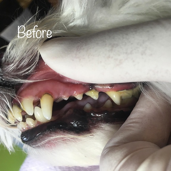 Before Before