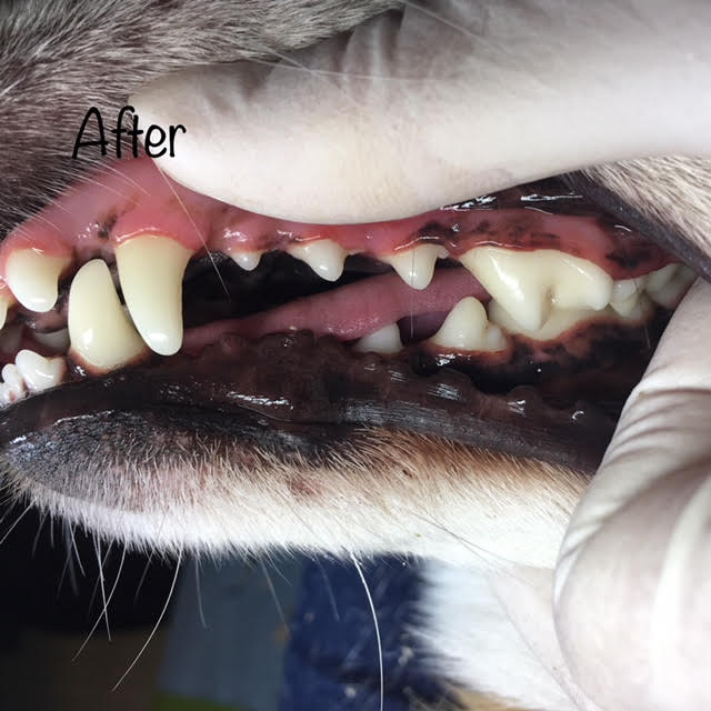 After After