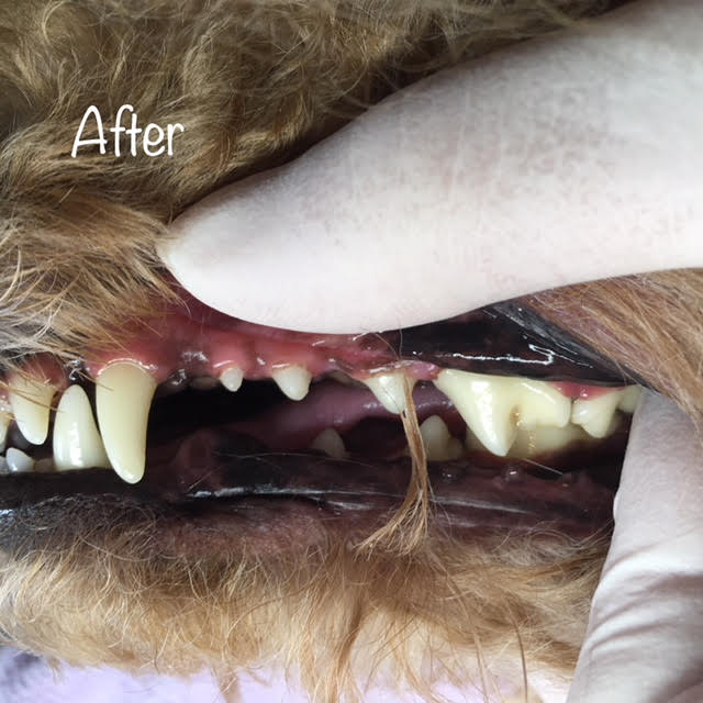 After After