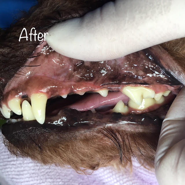 After After
