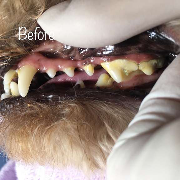Before Before