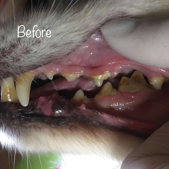 Before Before