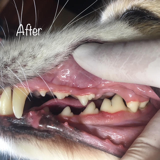 After After