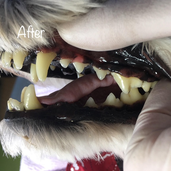 After After
