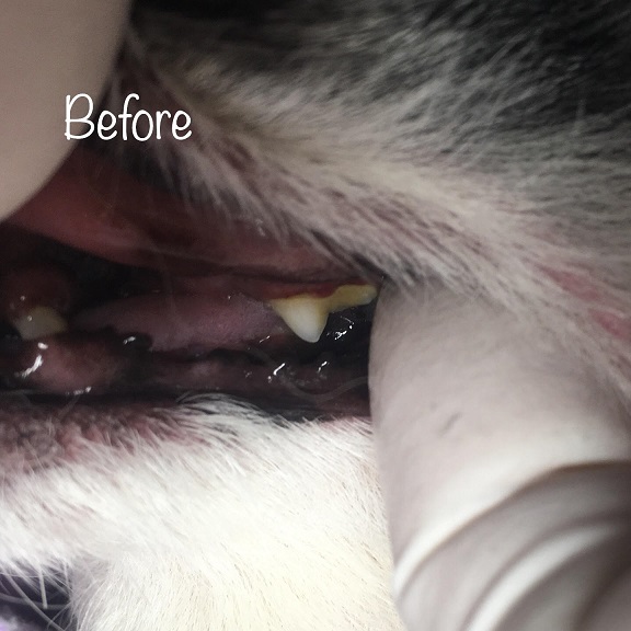 Before Before