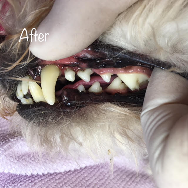After After