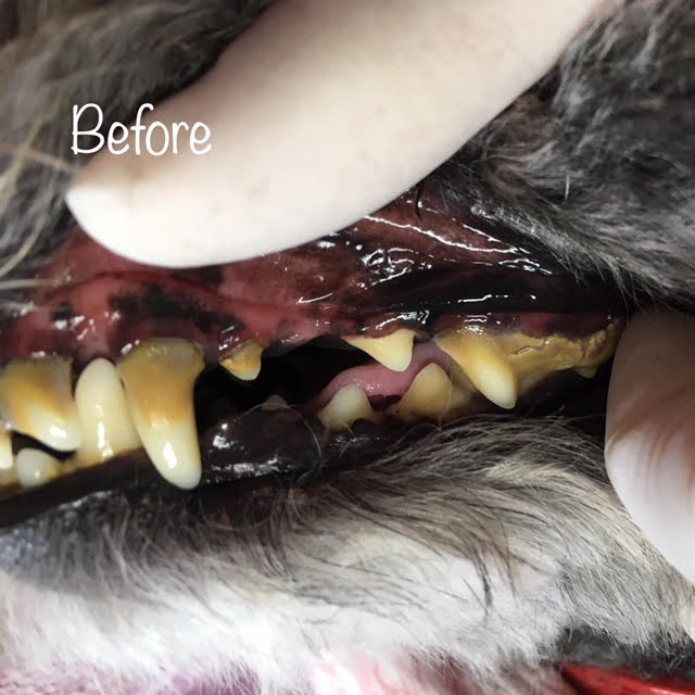 Before Before