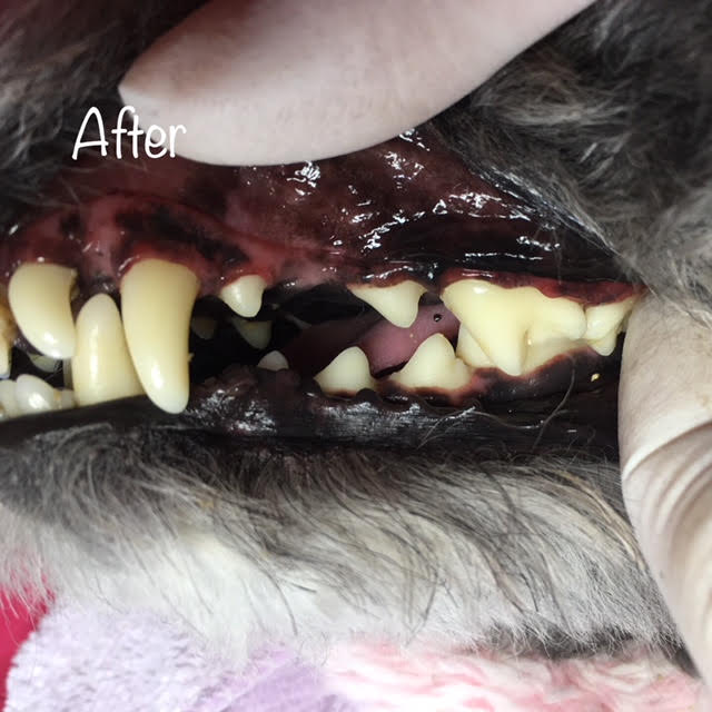 After After