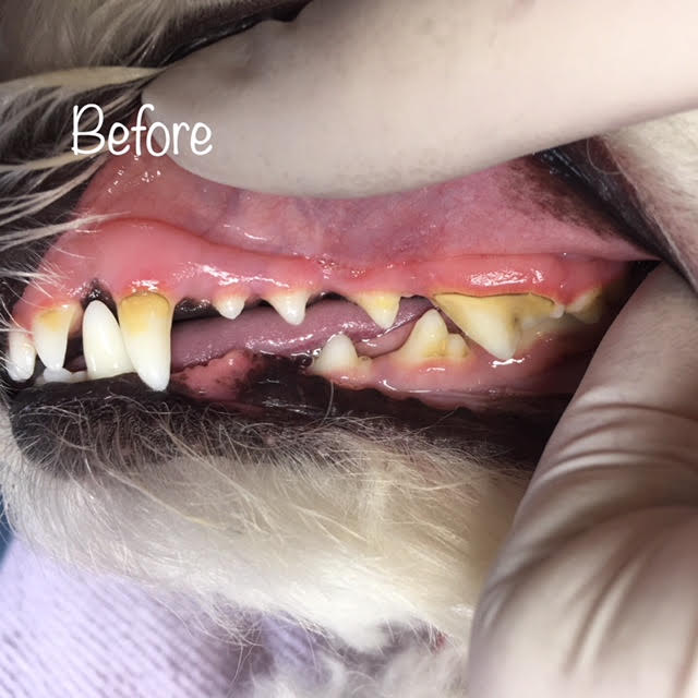 Before Before