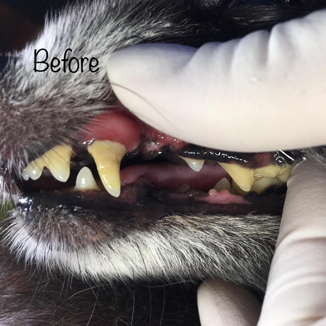 Before Before