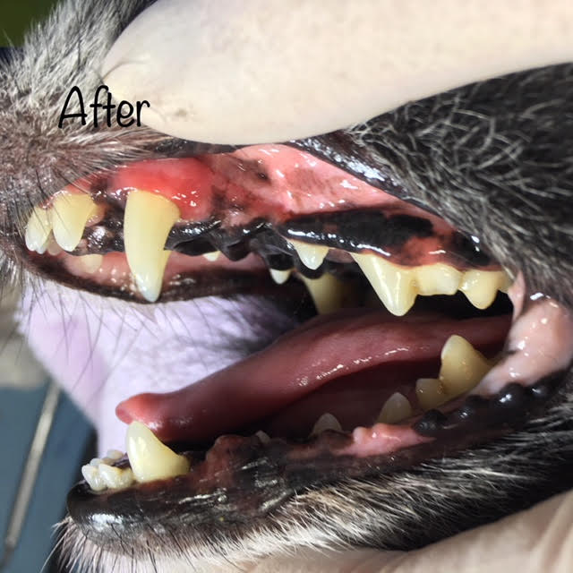 After After