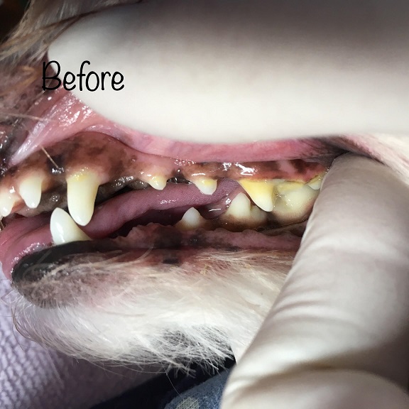 Before Before