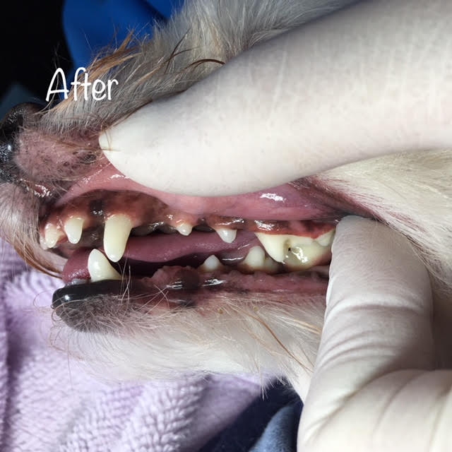 After After