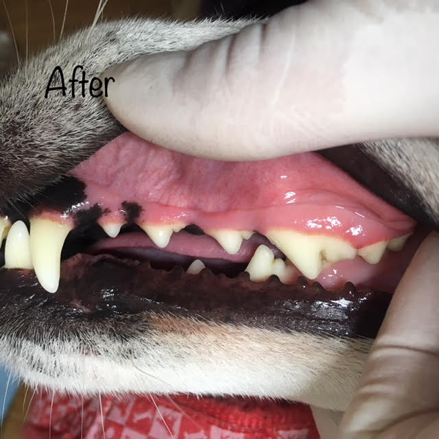 After After