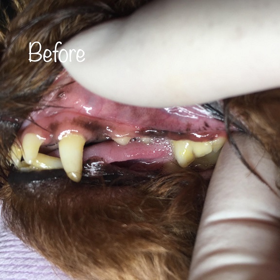 Before Before