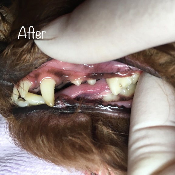 After After
