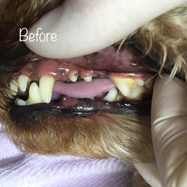 Before Before