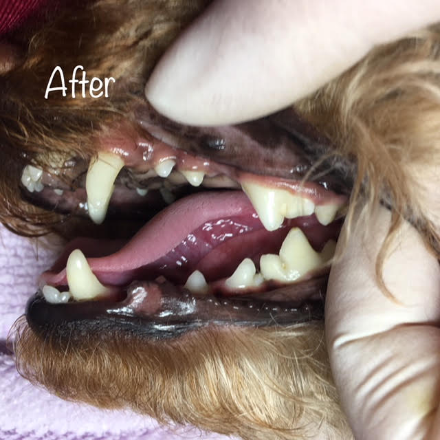 After After