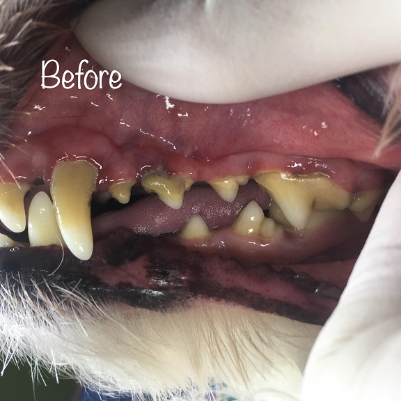 Before Before
