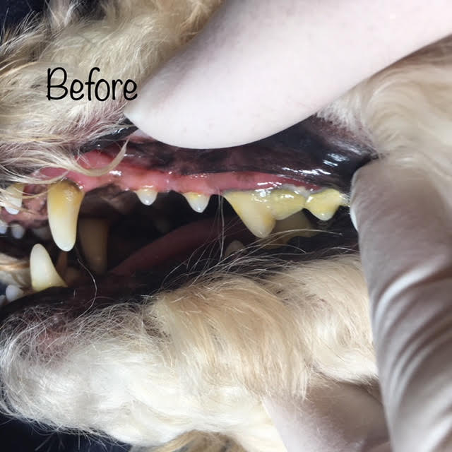 Before Before