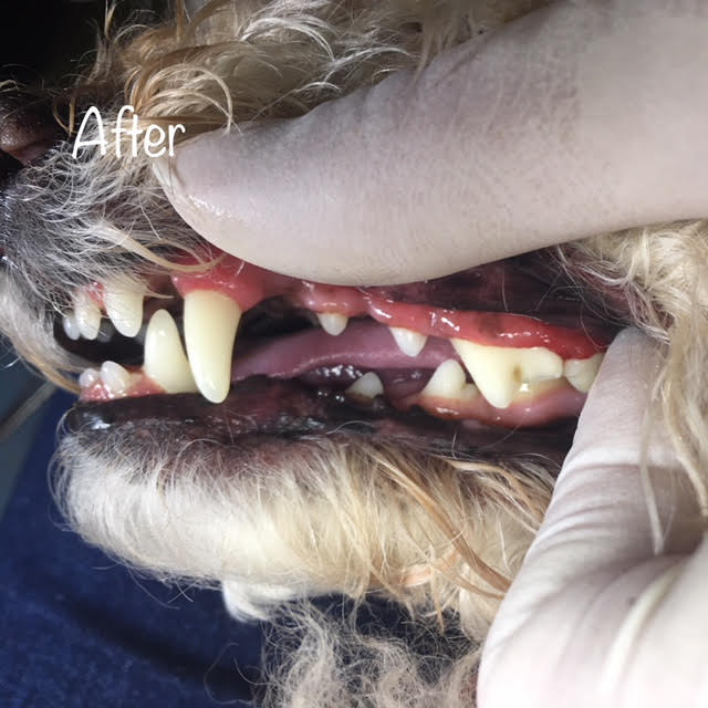 After After