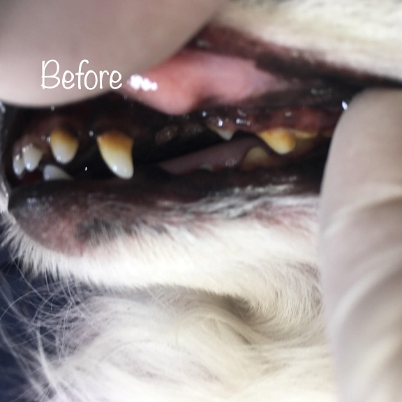 Before Before