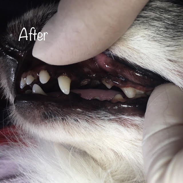 After After