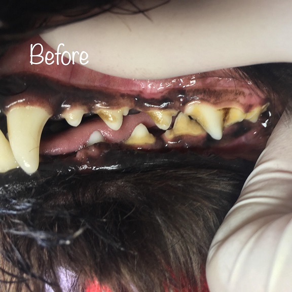 Before Before