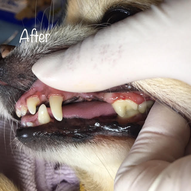 After After