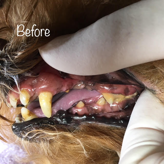 Before Before