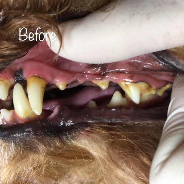 Before Before